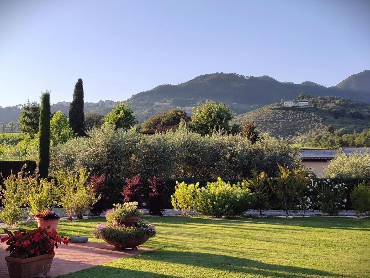 Tuscan Villa Exclusive Use Of Private Pool A/C Wifi Villa Briciola 卡潘诺里 外观 照片