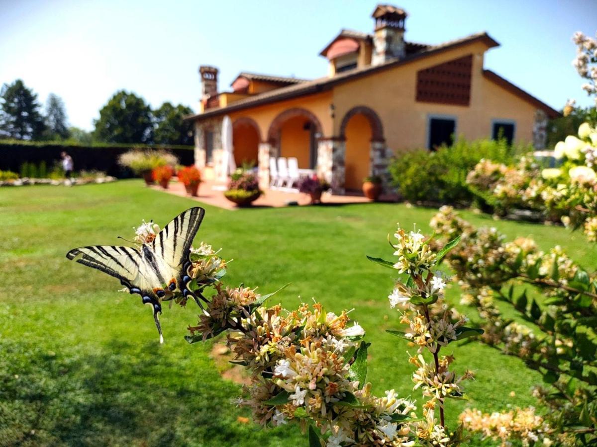 Tuscan Villa Exclusive Use Of Private Pool A/C Wifi Villa Briciola 卡潘诺里 外观 照片
