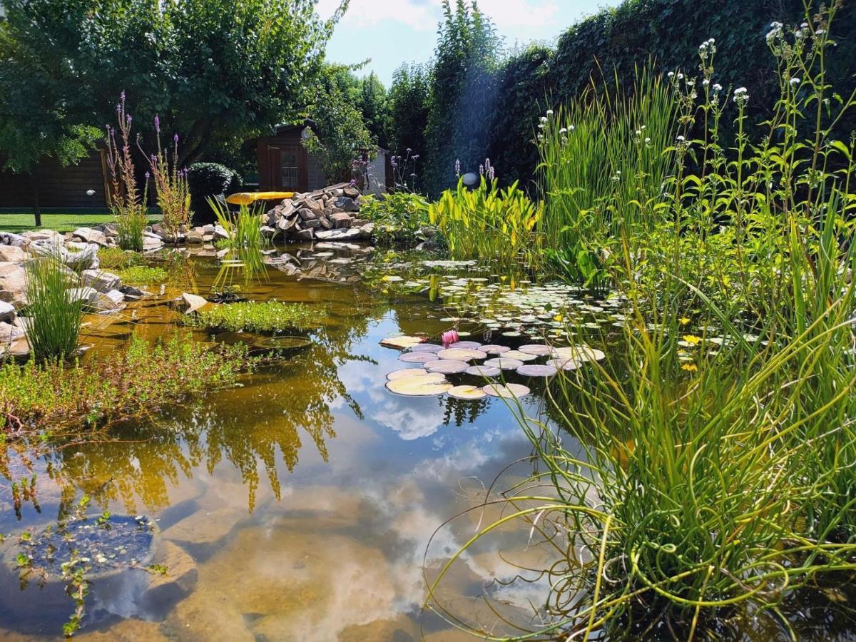 Tuscan Villa Exclusive Use Of Private Pool A/C Wifi Villa Briciola 卡潘诺里 外观 照片