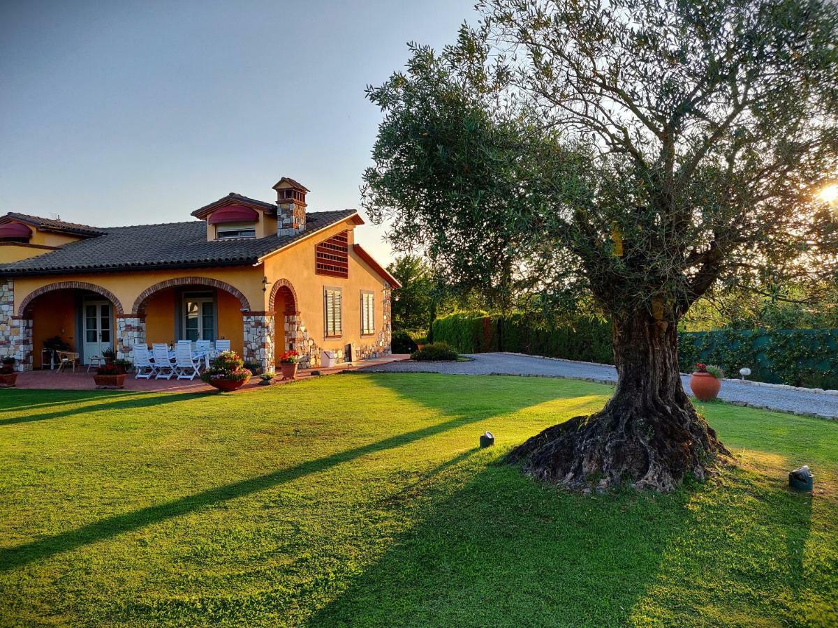 Tuscan Villa Exclusive Use Of Private Pool A/C Wifi Villa Briciola 卡潘诺里 外观 照片