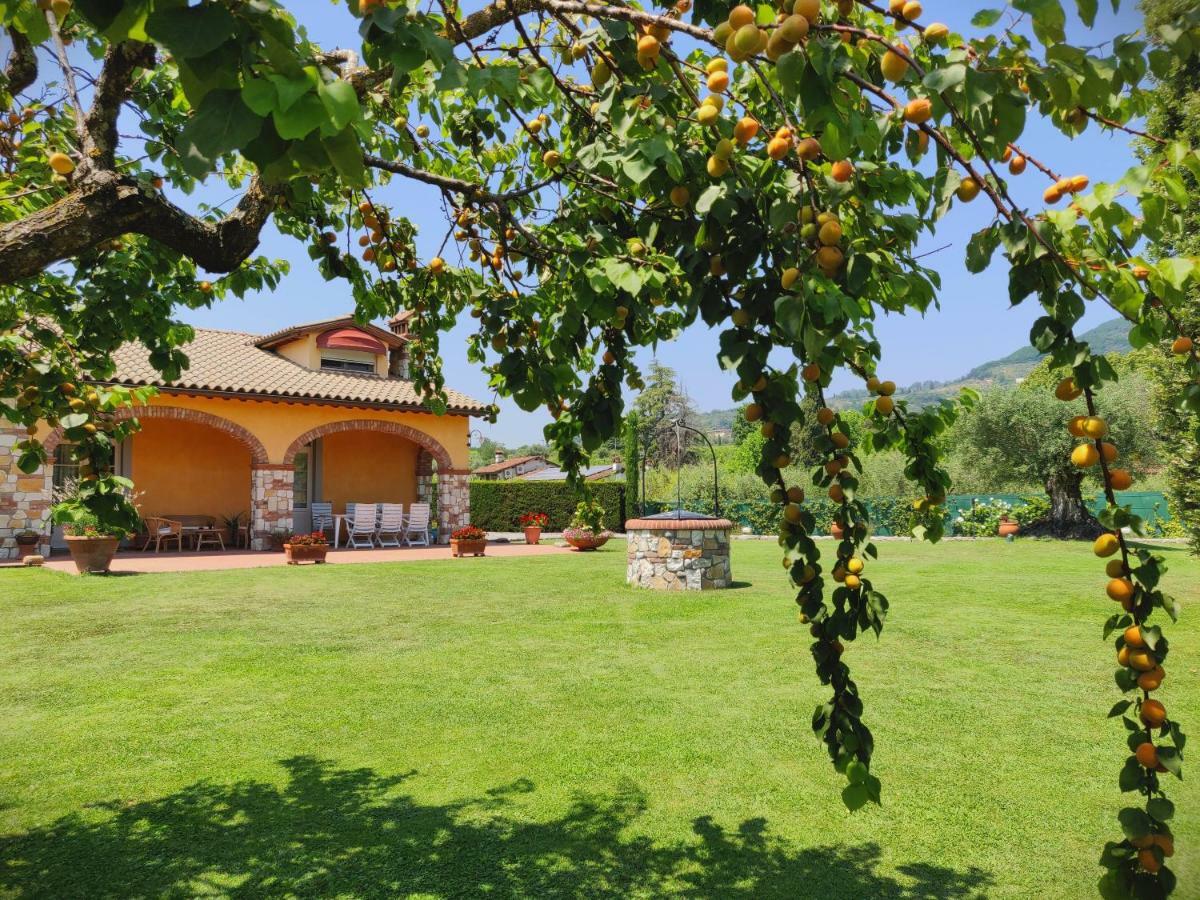 Tuscan Villa Exclusive Use Of Private Pool A/C Wifi Villa Briciola 卡潘诺里 外观 照片