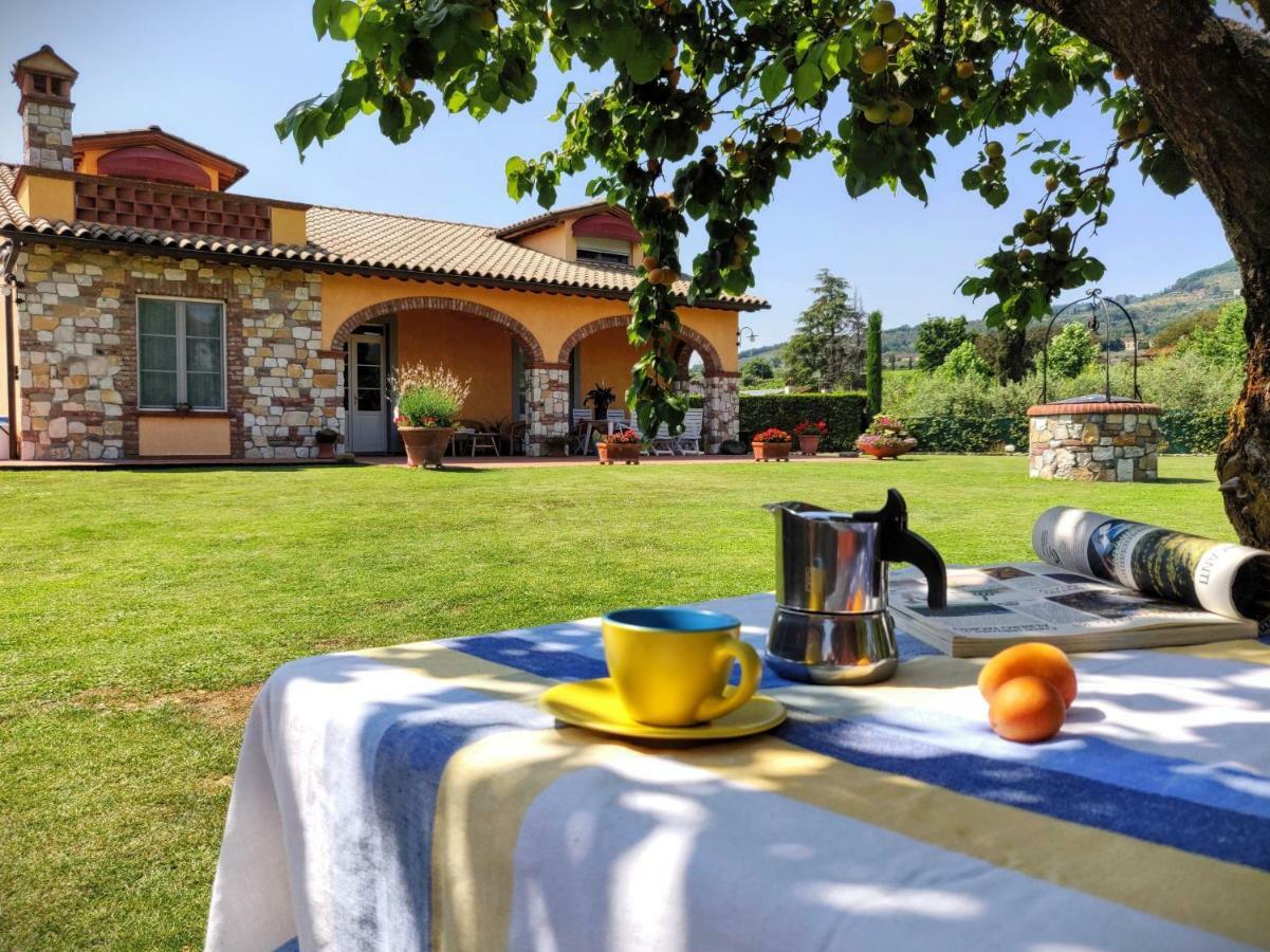 Tuscan Villa Exclusive Use Of Private Pool A/C Wifi Villa Briciola 卡潘诺里 外观 照片