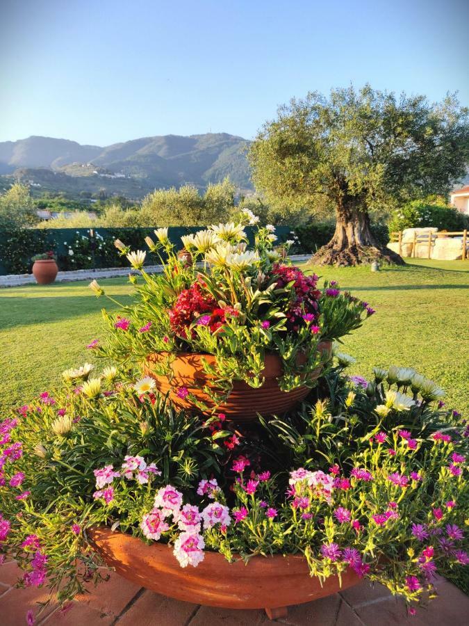 Tuscan Villa Exclusive Use Of Private Pool A/C Wifi Villa Briciola 卡潘诺里 外观 照片